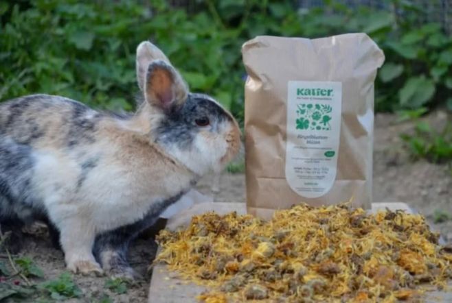 🌼 Květy měsíčku lékařského – přírodní síla ve výživě 🌼 Sušené květy měsíčku jsou ideálním doplňkem krmiva pro králíky a...