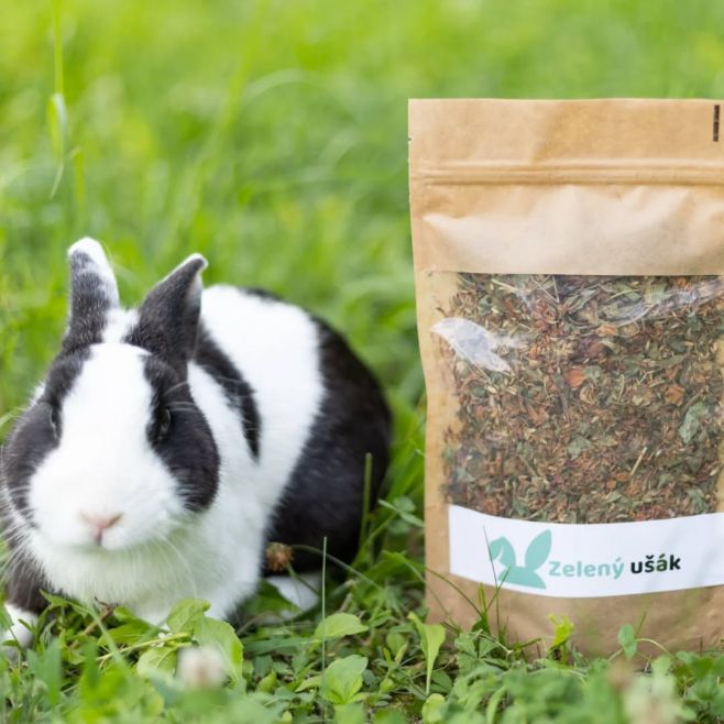🌿 Červený jetel – přírodní síla pro zdraví králíků 🐰 Květy červeného jetele podporují trávení, posilují imunitu a působí...